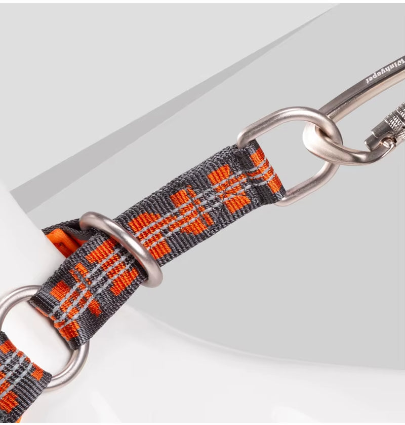P Chain Pet Reflective Collar Nylon Best Neoprene Padded Half Choke Training Lightweight Washable Sports YC1852