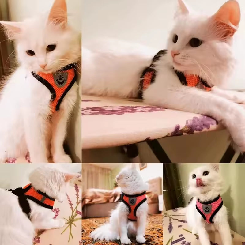 Adjustable Mesh Cute Small Cat Leash Breathable Summer Vest Cat Harness Leash Set Reflective for Small Dog Harness Leash