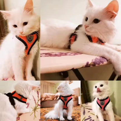 Adjustable Mesh Cute Small Cat Leash Breathable Summer Vest Cat Harness Leash Set Reflective for Small Dog Harness Leash