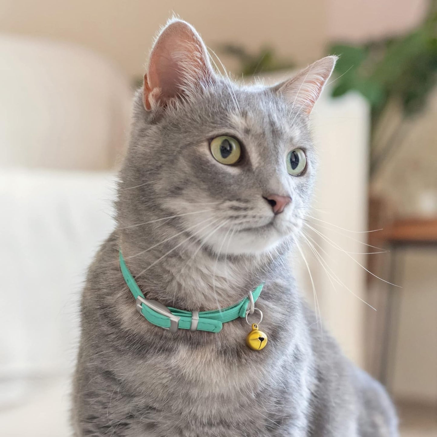 Leather Cat Collar with Removable Bell – Safety Elastic Strap (Breakaway Alternative) – Kitten Collar for Small & Big Boy & Girl Cats