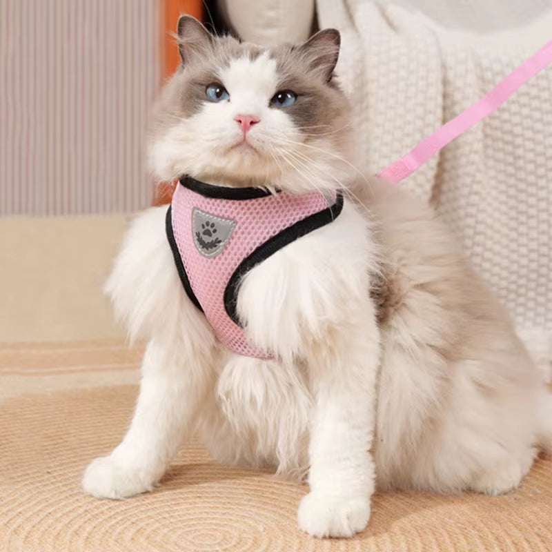 Adjustable Mesh Cute Small Cat Leash Breathable Summer Vest Cat Harness Leash Set Reflective for Small Dog Harness Leash