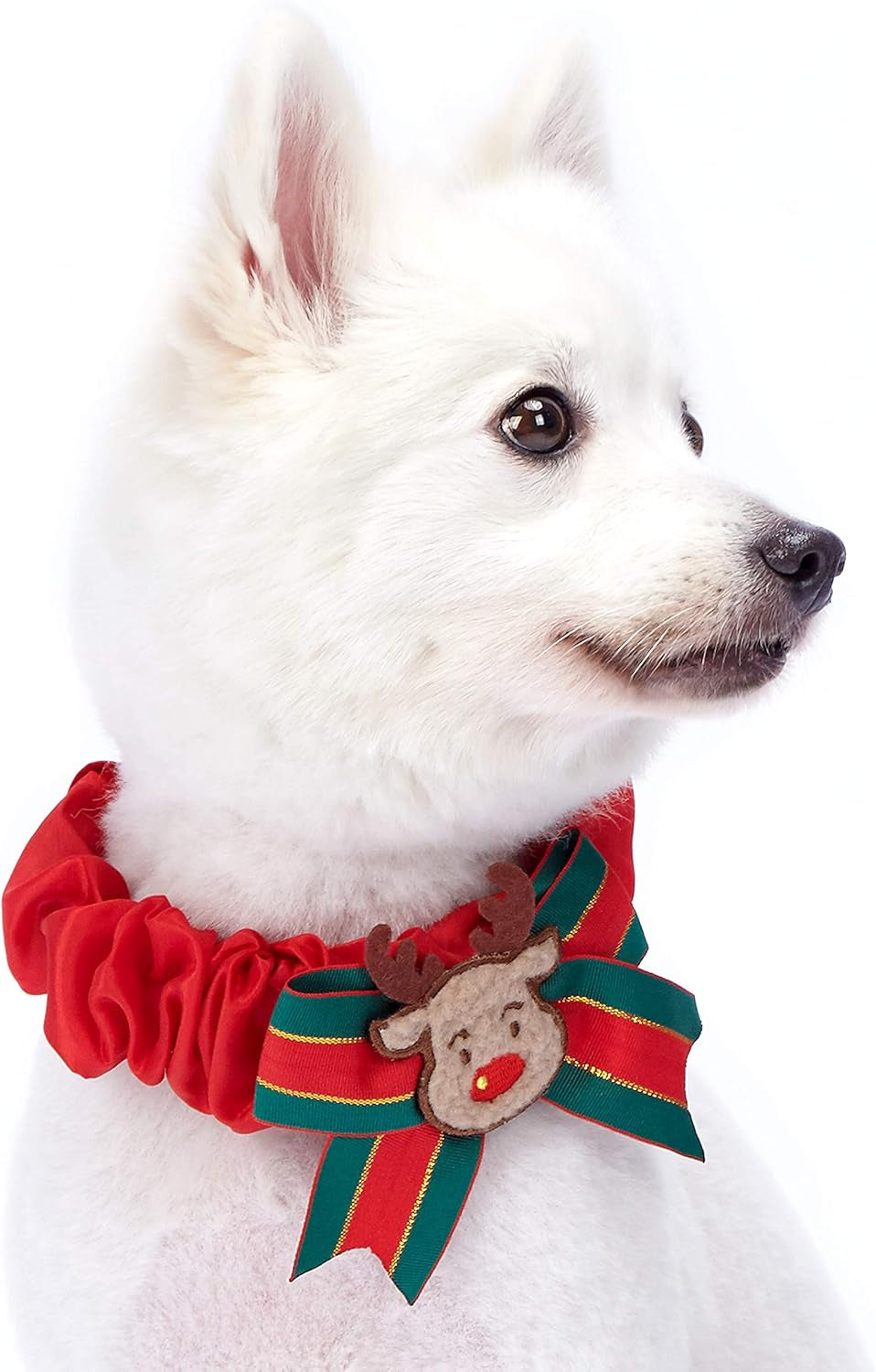Polka Dots Christmas Dog Collar, Large, Adjustable 18"-26" Neck, Holiday Dog Collar with Bow for Large Dogs