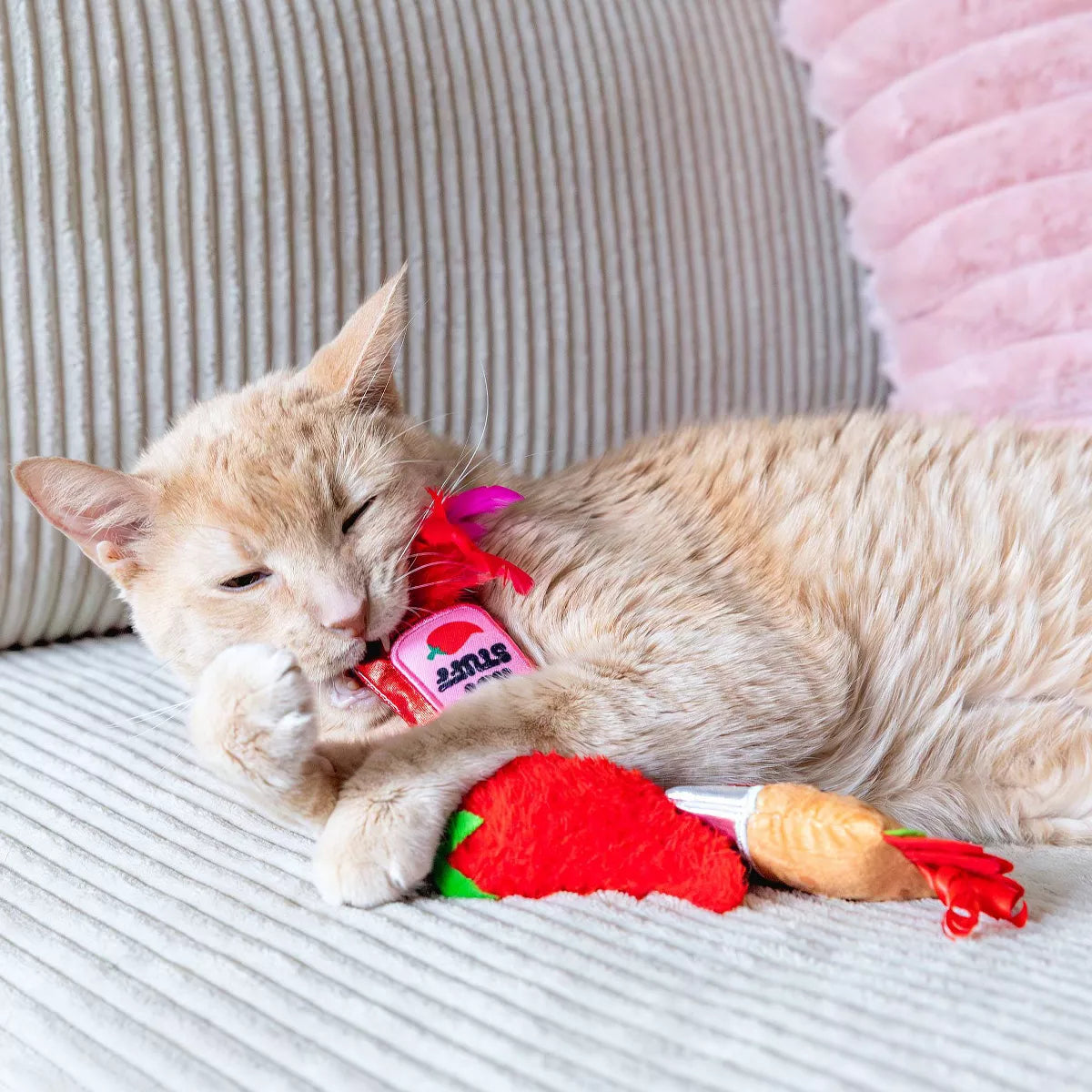 Quirky Kitty You Are Burrito-Ful Plush Cat Toy
