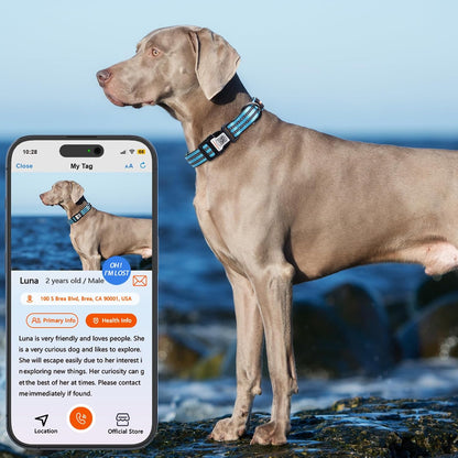Reflective Dog Collar with QR Code Tag, Personalized Dog Collar, Safety Night Visibility, Anti-Loss Function (Blue, Medium)