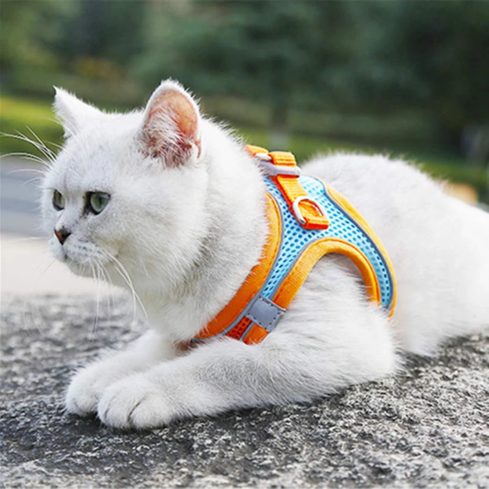 Cat Harness Reflective Pet Harnesses and Leashes Set Adjustable Pet Harness for Cats Small Dogs Pug Chihuahua Cat Accessories