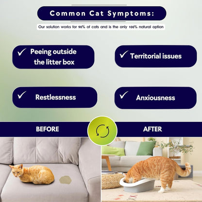Calming Cat Collar - Vet Approved Pee Deterrent & Anti-Anxiety Relief with Essential Oils
