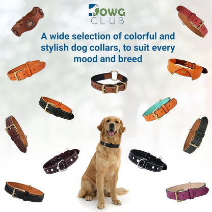 Genuine Leather Dog Collar | Full Grain, Heavy Duty, Comfortable, Padded, Strong | Best for Pups, Small, Medium, Large & XL Breeds (Small (Fit Neck Size 11.5"-14.5"), Dark Pink)