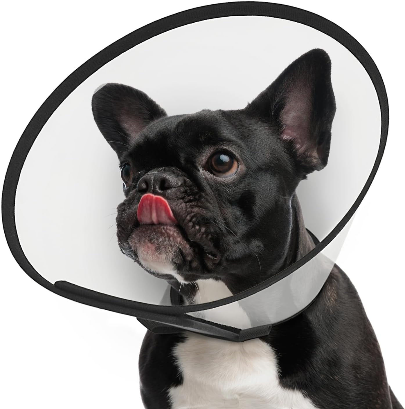 Dog Cone Collar Adjustable after Surgery, Comfortable Pet Recovery Collar & Cone for Large Medium Small Dogs, Elizabethan Dog Neck Collar Plastic Practical （L）