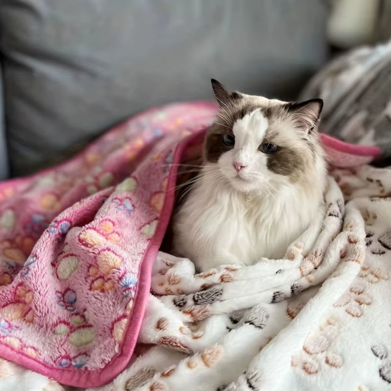 New Winter Soft Flannel Fleece Cat Dog Bed Blanket Bed Mats Paw Foot Print Warm Pet Sleeping Beds Cover Mat for Dogs Cats Pets