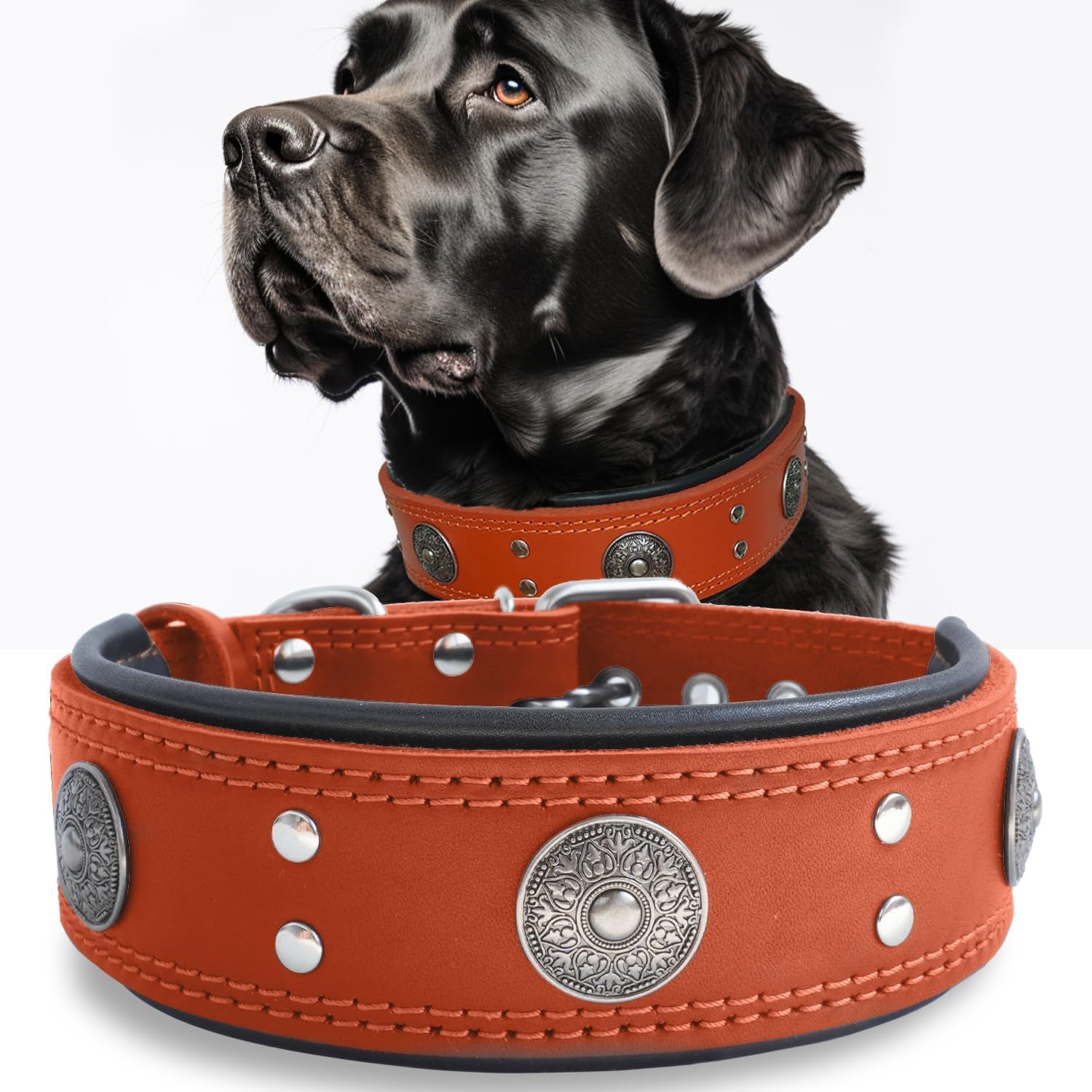 Leather Dog Collar, 2 Inches Wide Heavy Duty Genuine Leather Collars, Handmade, Soft, and Luxury, Eye-Catching Best Choice for Large and Medium Breed Dogs, Orange 18.5-22.5 In