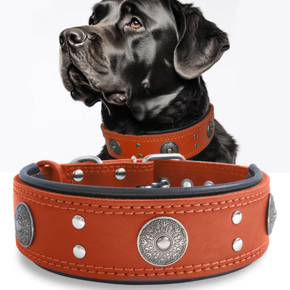 Leather Dog Collar, 2 Inches Wide Heavy Duty Genuine Leather Collars, Handmade, Soft, and Luxury, Eye-Catching Best Choice for Large and Medium Breed Dogs, Orange 18.5-22.5 In