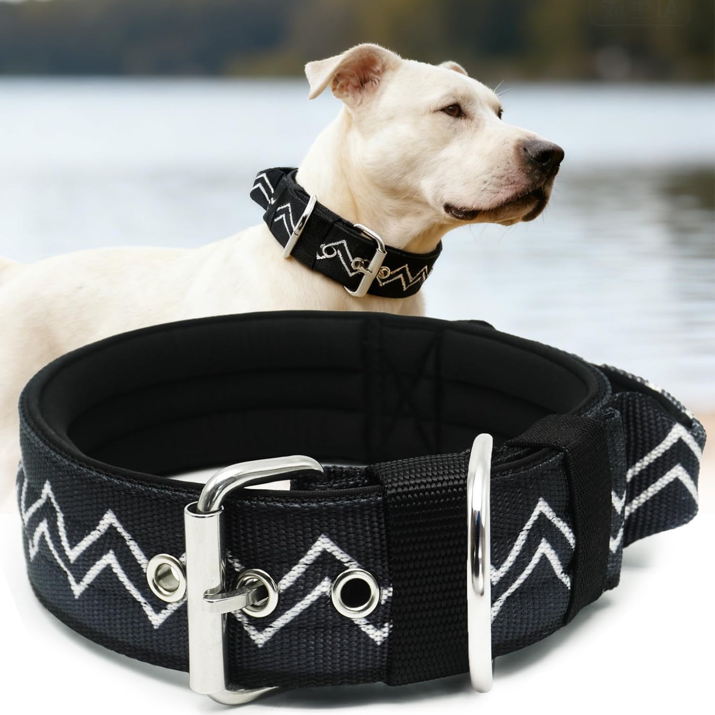 Neckshield Control Dog Collar for Large Dogs-2 Inches Wide with Pressure-Relief Padding, Professional Protection for Large & Giant Breeds, Jungle Night L