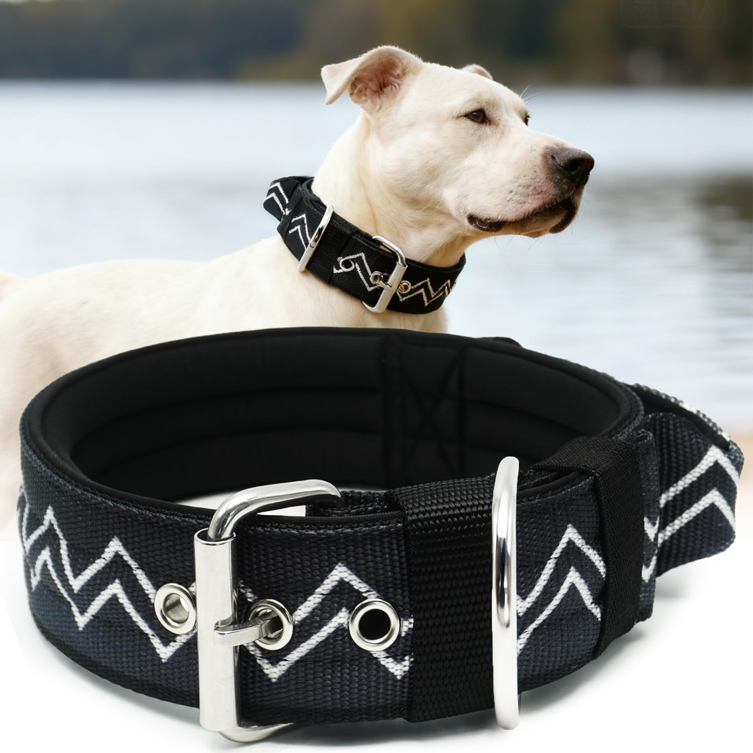 Neckshield Control Dog Collar for Large Dogs-2 Inches Wide with Pressure-Relief Padding, Professional Protection for Large & Giant Breeds, Jungle Night L