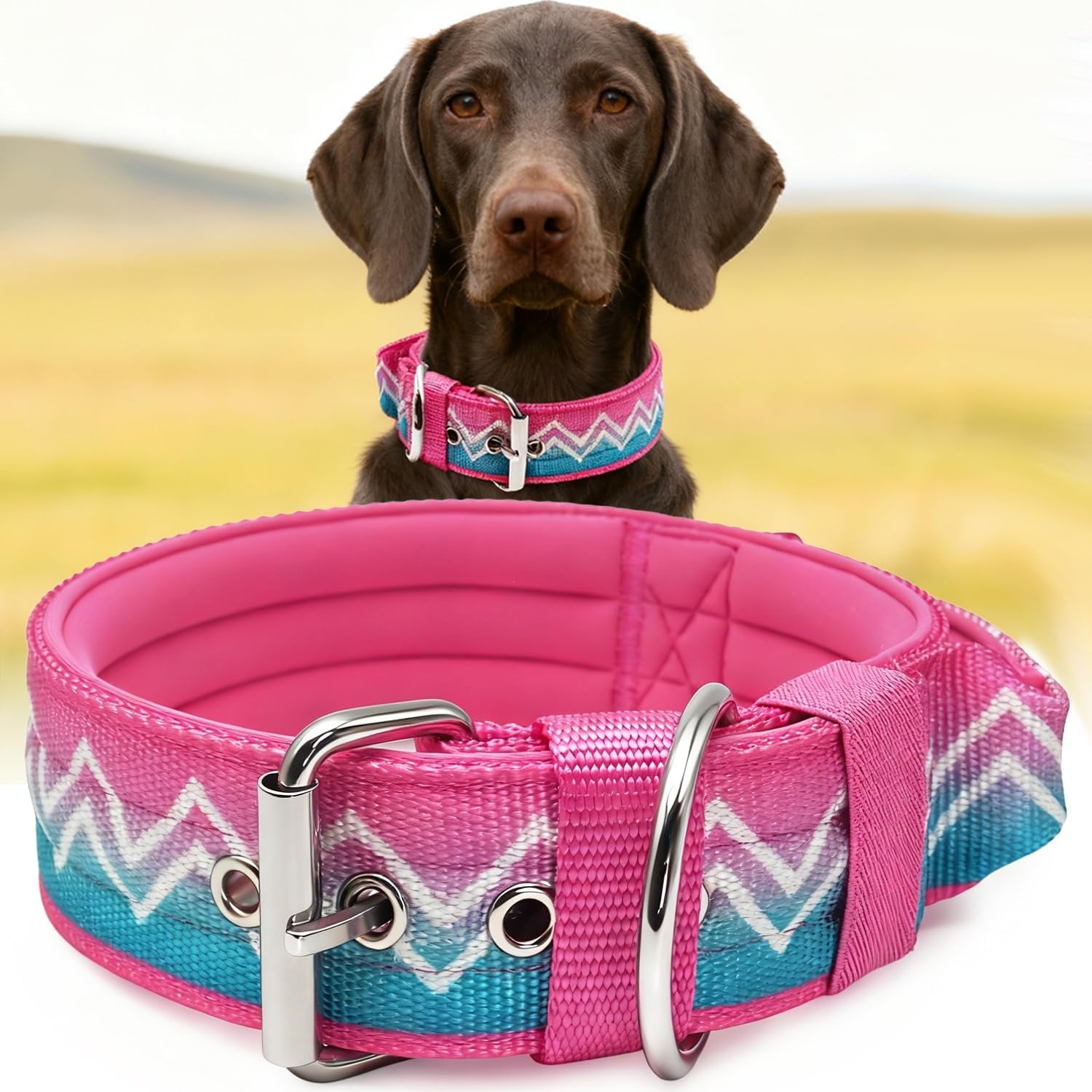Neckshield Control Dog Collar for Large Dogs-2 Inches Wide with Pressure-Relief Padding, Professional Protection for Large & Giant Breeds, Jungle Night L