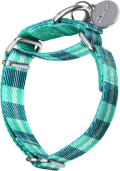 Martingale Dog Collar No Pull Pet Collar Heavy Duty Dog Martingale Collars Silky with Unique Geometric Pattern for Medium and Large Dogs (Large, Turquoise)