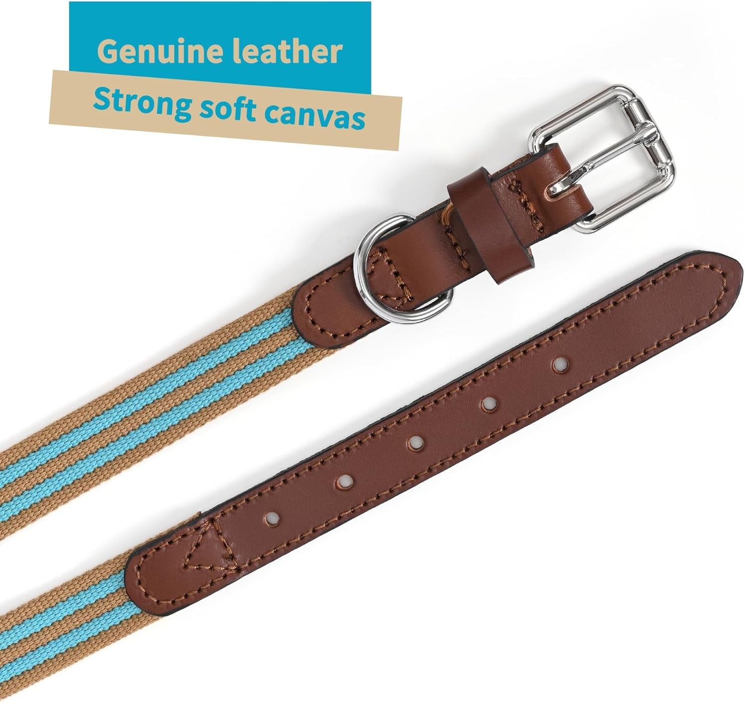 | Genuine Leather Dog Collar | Heavy Duty Canvas Dog Collars with Adjustable Rust-Proof Metal Pin Buckle | Boy Dog Collars for Medium Dogs(Pin Buckle-Turquoise Green)