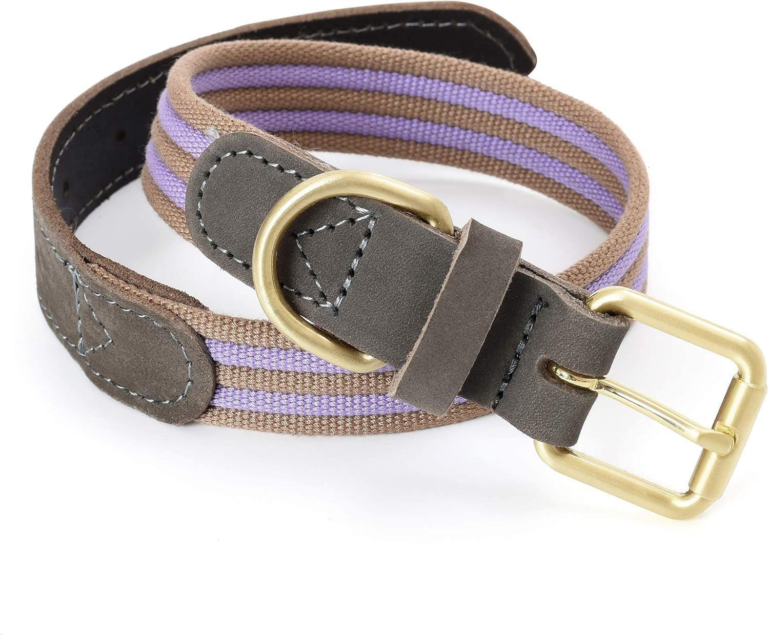 | Genuine Leather Dog Collar | Heavy Duty Canvas Dog Collars with Adjustable Rust-Proof Metal Pin Buckle | Boy Dog Collars for Medium Dogs(Pin Buckle-Turquoise Green)