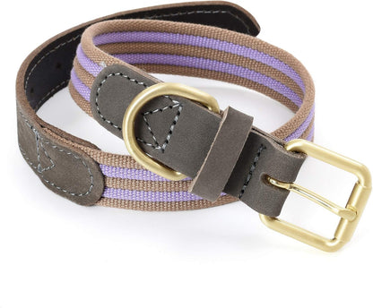 | Genuine Leather Dog Collar | Heavy Duty Canvas Dog Collars with Adjustable Rust-Proof Metal Pin Buckle | Boy Dog Collars for Medium Dogs(Pin Buckle-Turquoise Green)
