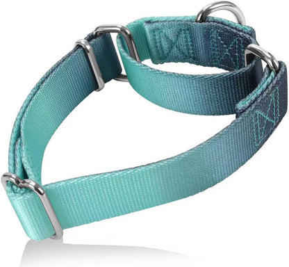 Martingale Dog Collar Colorful Gradient Fashionable - Anti-Escape Soft Durable Pets Collar for Walking Training Outdoor Daily Use -Medium,Turquoise Gradient