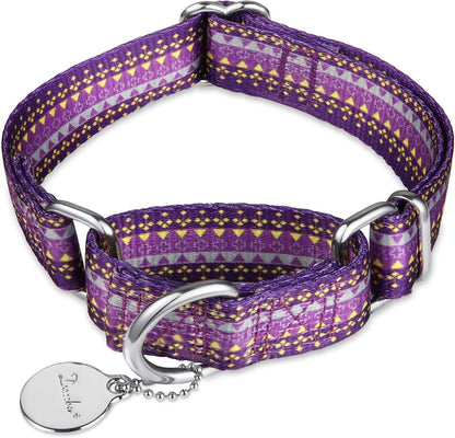 Martingale Dog Collar No Pull Pet Collar Heavy Duty Dog Martingale Collars Silky with Unique Geometric Pattern for Medium and Large Dogs (Large, Turquoise)