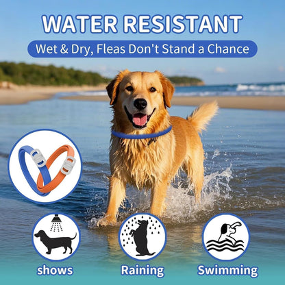 Ultimate Dog Flea and Tick Prevention Collar - 4 Pack, Waterproof & Adjustable for Dogs and Puppies, 32-Month Protection in Blue & Orange