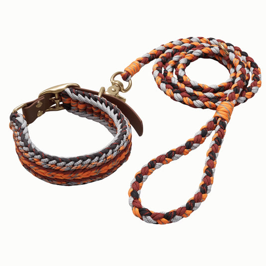 Adjustable Dog Collar and Leash Set, Reflective Collars with Brass Buckle and D-Ring for Large Dogs Walking and Training