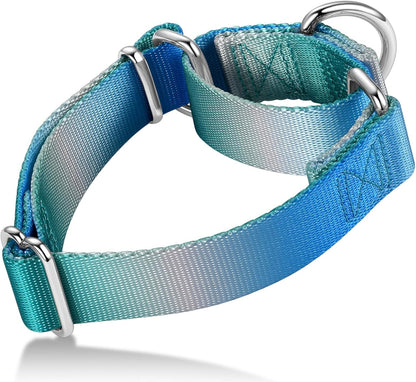 Martingale Dog Collar Colorful Gradient Fashionable - Anti-Escape Soft Durable Pets Collar for Walking Training Outdoor Daily Use -Medium,Turquoise Gradient