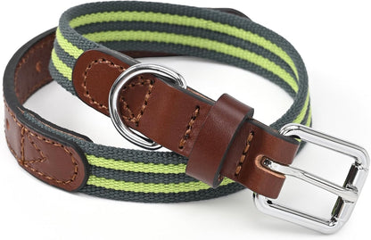 | Genuine Leather Dog Collar | Heavy Duty Canvas Dog Collars with Adjustable Rust-Proof Metal Pin Buckle | Boy Dog Collars for Medium Dogs(Pin Buckle-Turquoise Green)