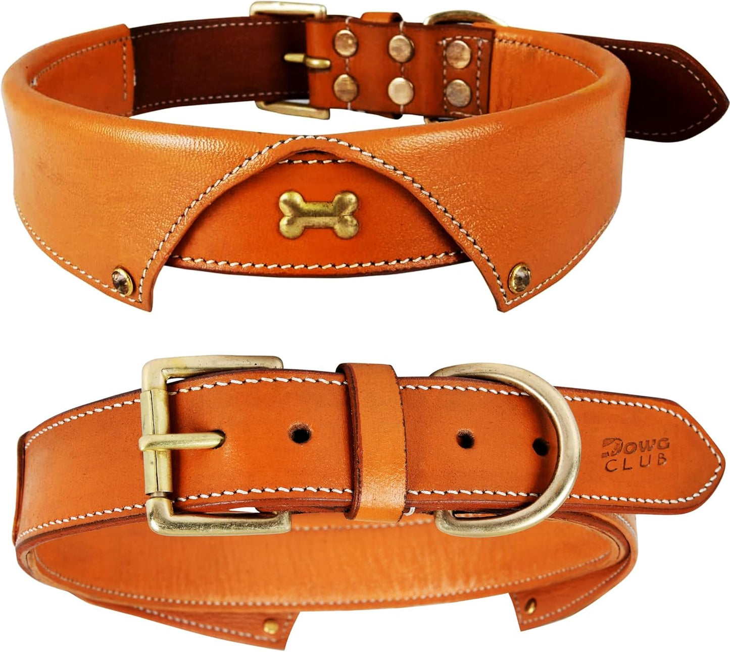 Genuine Leather Dog Collar | Full Grain, Heavy Duty, Comfortable, Padded, Strong | Best for Pups, Small, Medium, Large & XL Breeds (Medium (Fit Neck Size 14.5"-18.5"), Teal Green)