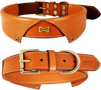 Genuine Leather Dog Collar | Full Grain, Heavy Duty, Comfortable, Padded, Strong | Best for Pups, Small, Medium, Large & XL Breeds (Medium (Fit Neck Size 14.5"-18.5"), Teal Green)