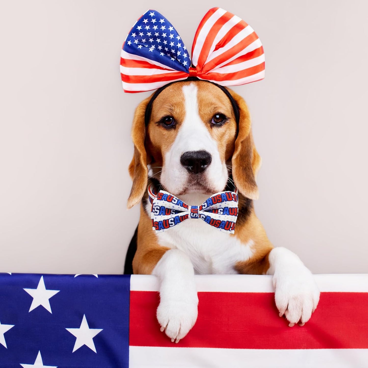 Patriotic 4th of July Dog Collar with Removable Bow Tie - Adjustable Red, White & Blue USA Stars for All Dog Sizes