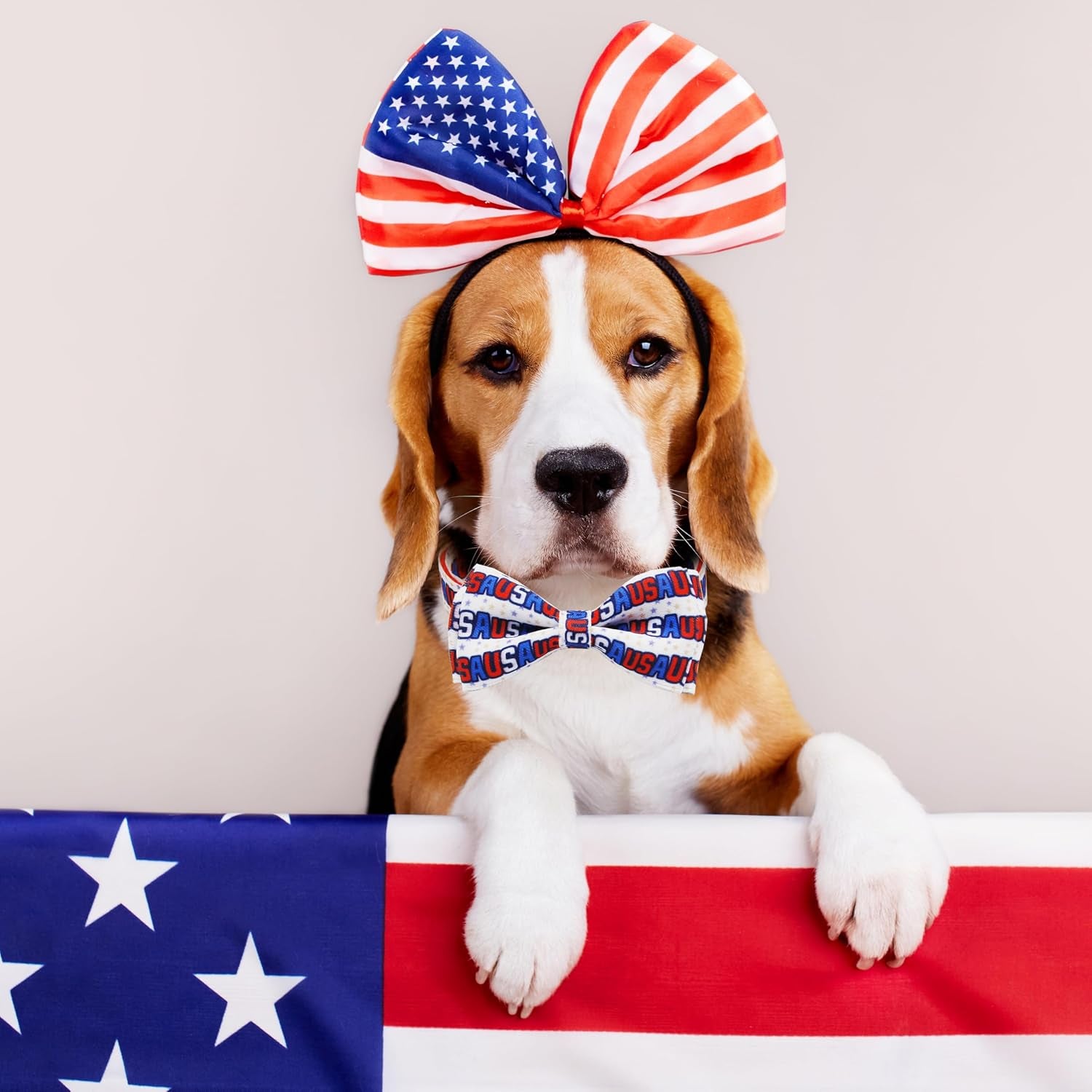 Patriotic 4th of July Dog Collar with Removable Bow Tie - Adjustable Red, White & Blue USA Stars for All Dog Sizes