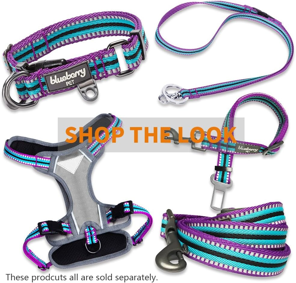 4 Colors 3M Reflective Multi-Colored Stripe Martingale Safety Training Dog Collar, Violet and River Blue, Medium, Heavy Duty Adjustable Collars for Dogs