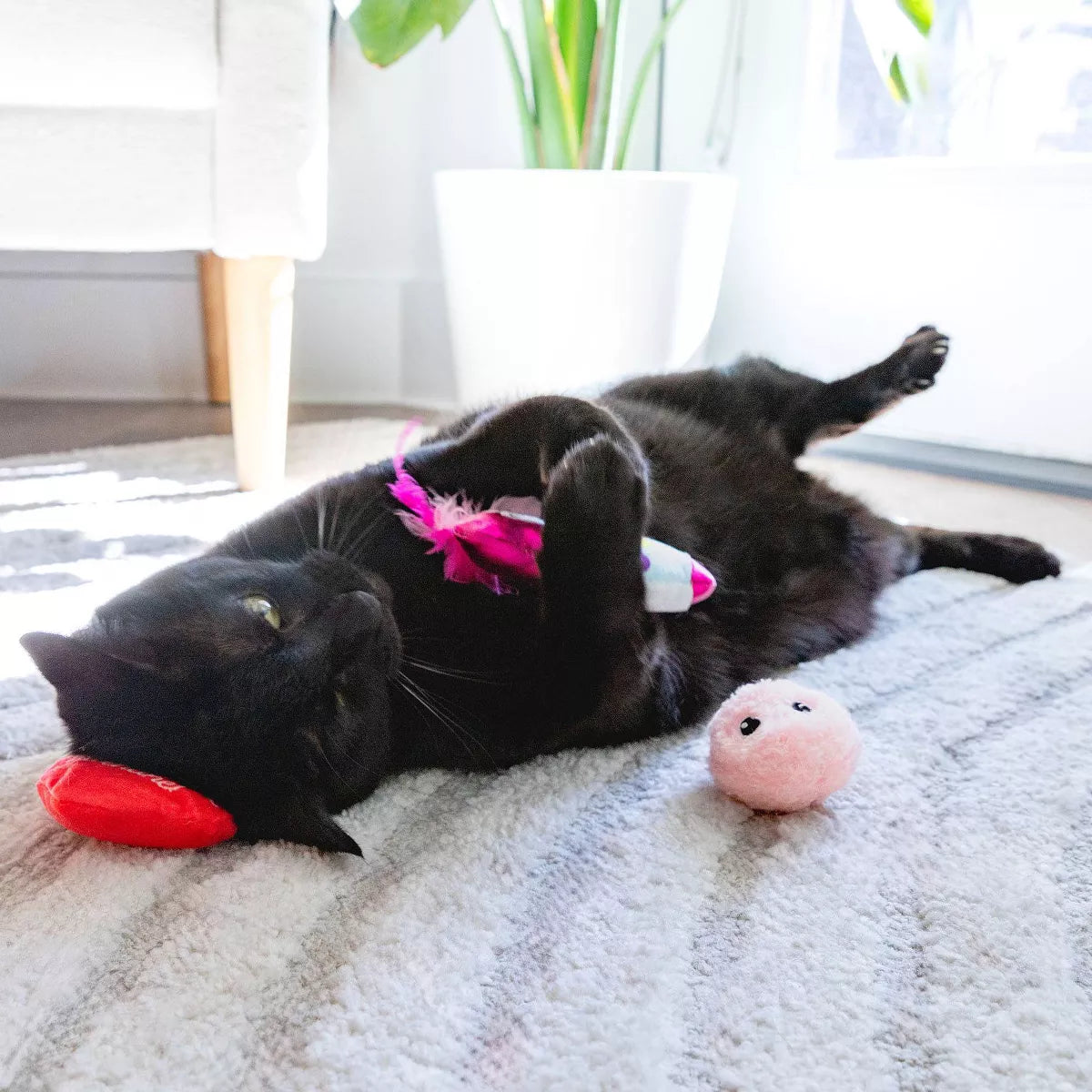 Quirky Kitty I Chews You Plush Cat Toy