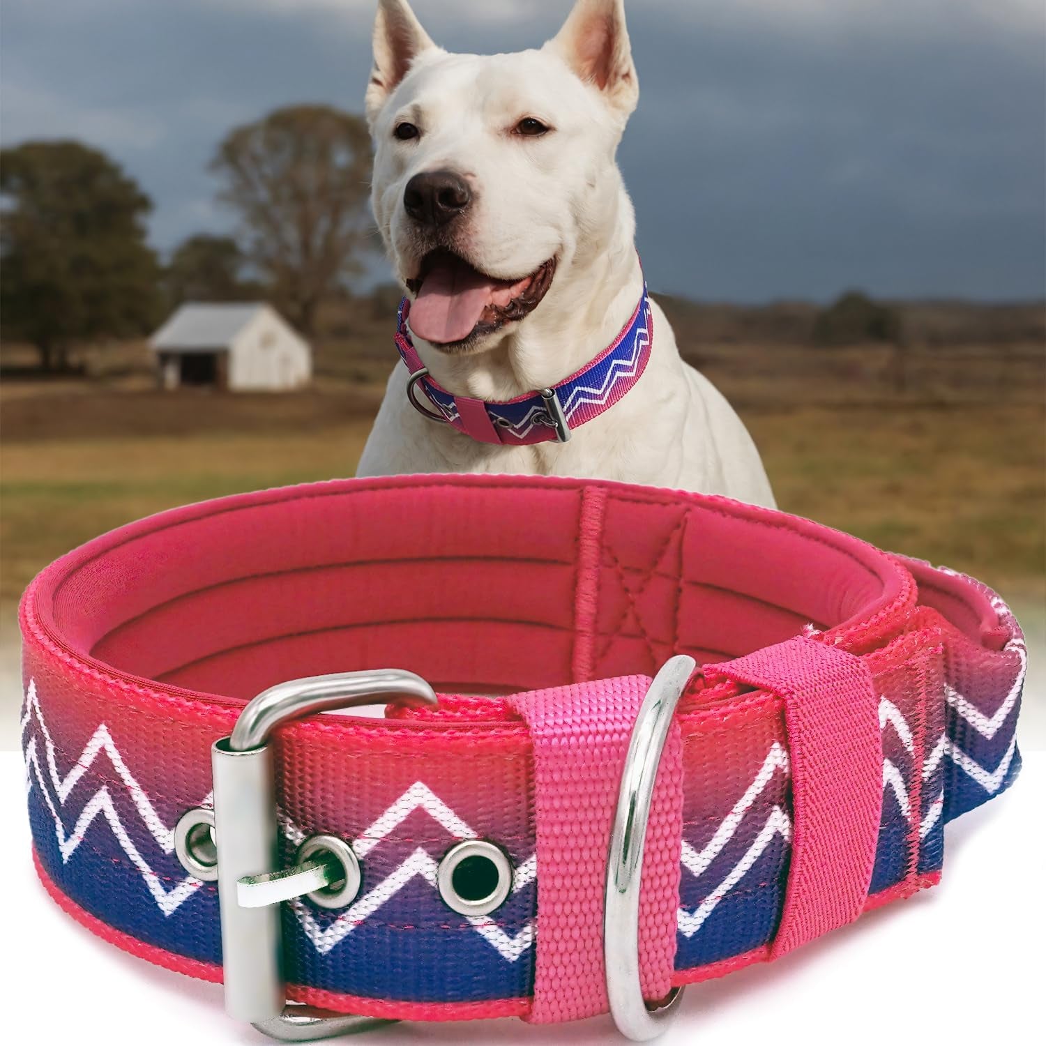 Neckshield Control Dog Collar for Large Dogs-2 Inches Wide with Pressure-Relief Padding, Professional Protection for Large & Giant Breeds, Jungle Night L
