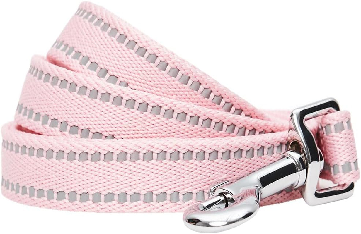 Essentials Durable Pastel Color Reflective Dog Leash, 5 Ft X 3/4", Baby Blue, Medium, Leashes for Dogs