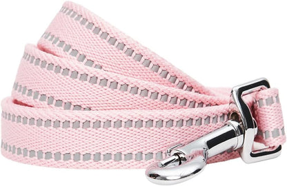 Essentials Durable Pastel Color Reflective Dog Leash, 5 Ft X 3/4", Baby Blue, Medium, Leashes for Dogs