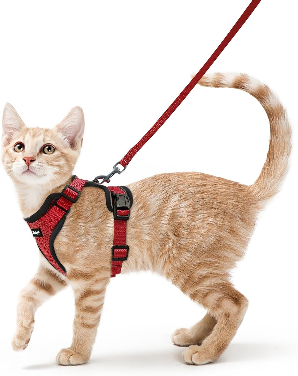Cat Harness and Leash for Walking, Escape Proof Soft Adjustable Vest Harnesses for Cats, Easy Control Breathable Reflective Strips Jacket, Black, XS