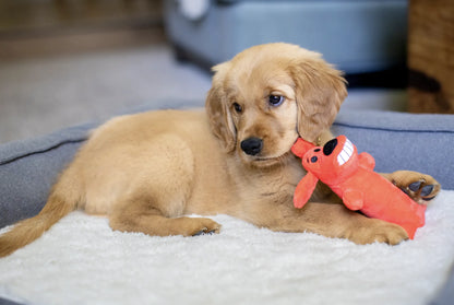 Smiling Loofa Plush Dog Toy with Squeaker, 6 Inch