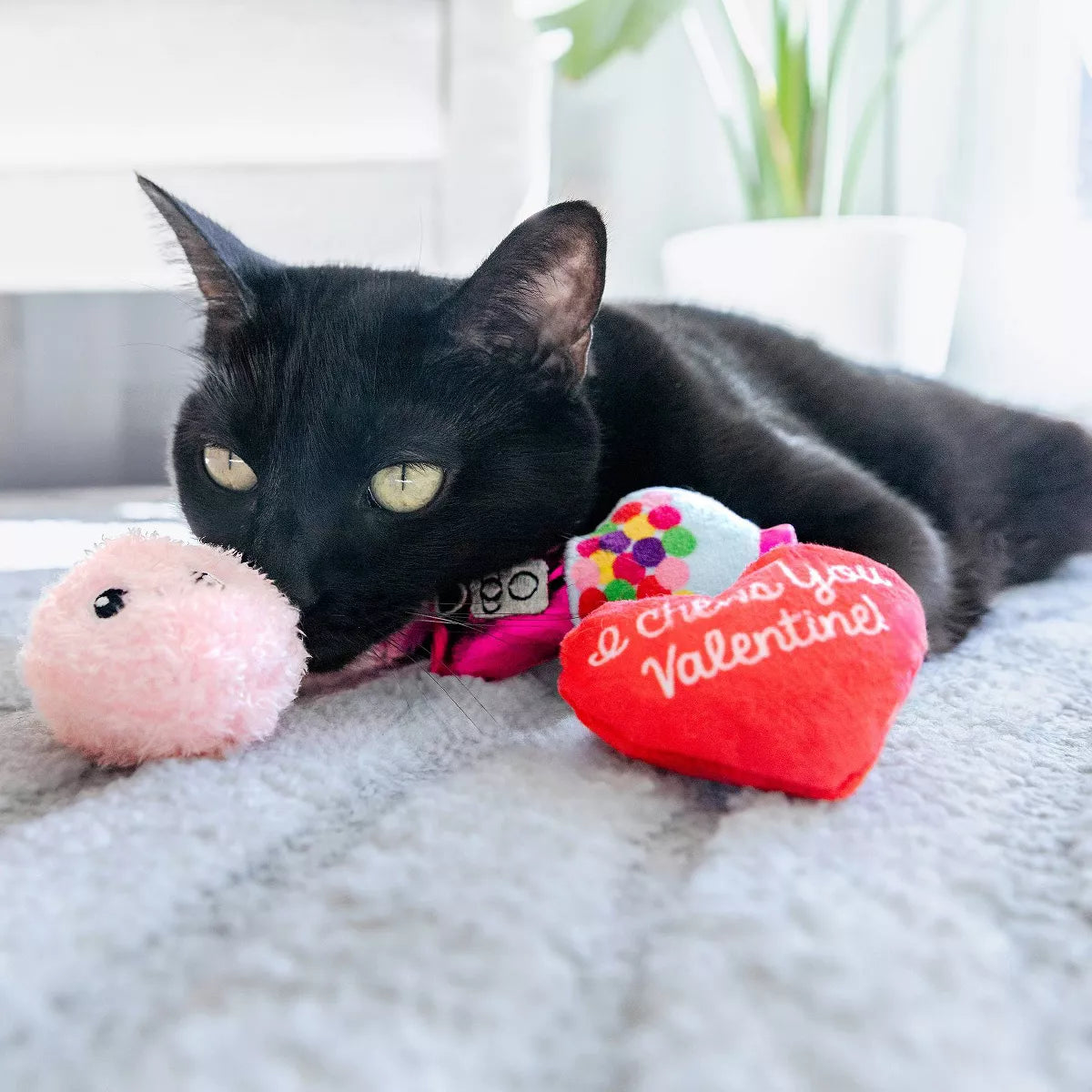 Quirky Kitty I Chews You Plush Cat Toy