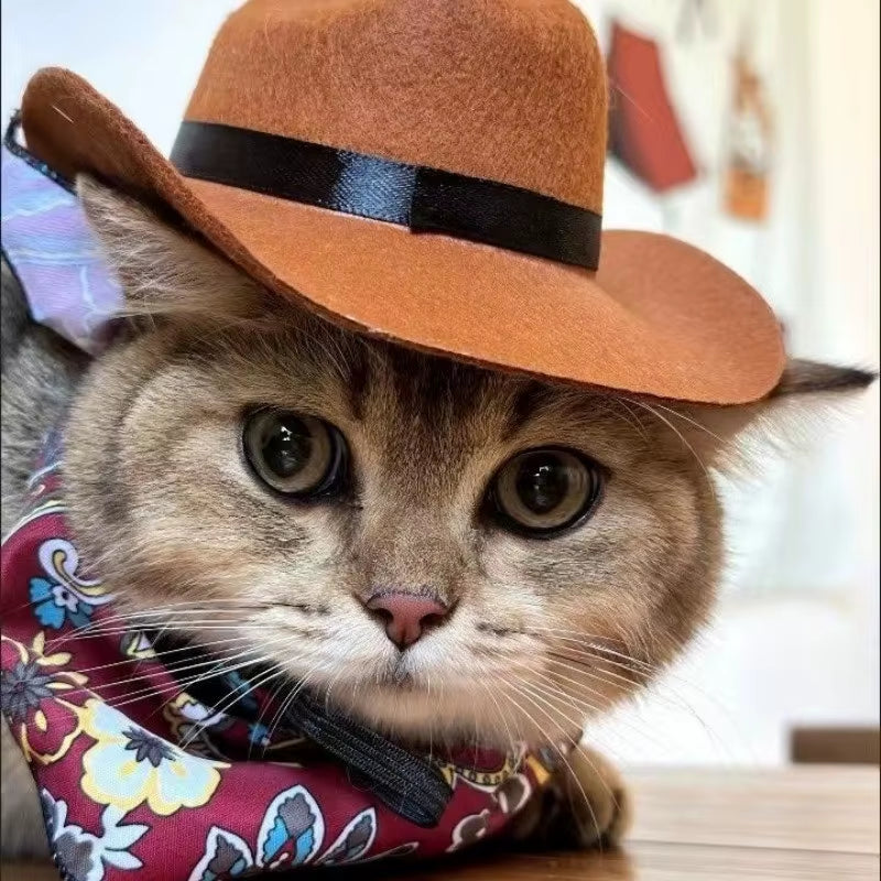 Pet Hat Set Western Cowboy Suitable for Cats and Dogs Fashionable Pet Accessory Cat Triangle Scarf