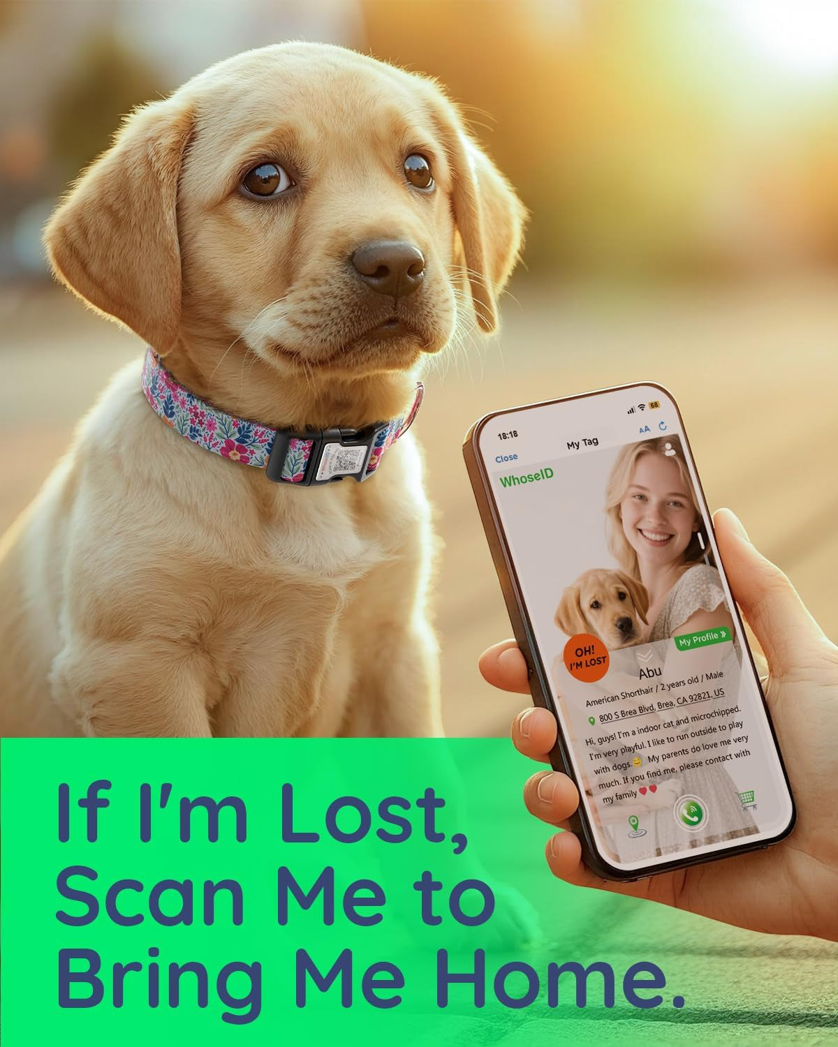 Cute Adjustable Dog Collar with QR Code Buckle - Metal Clip & Cotton Webbing Comfort Fit for Mediun Pets