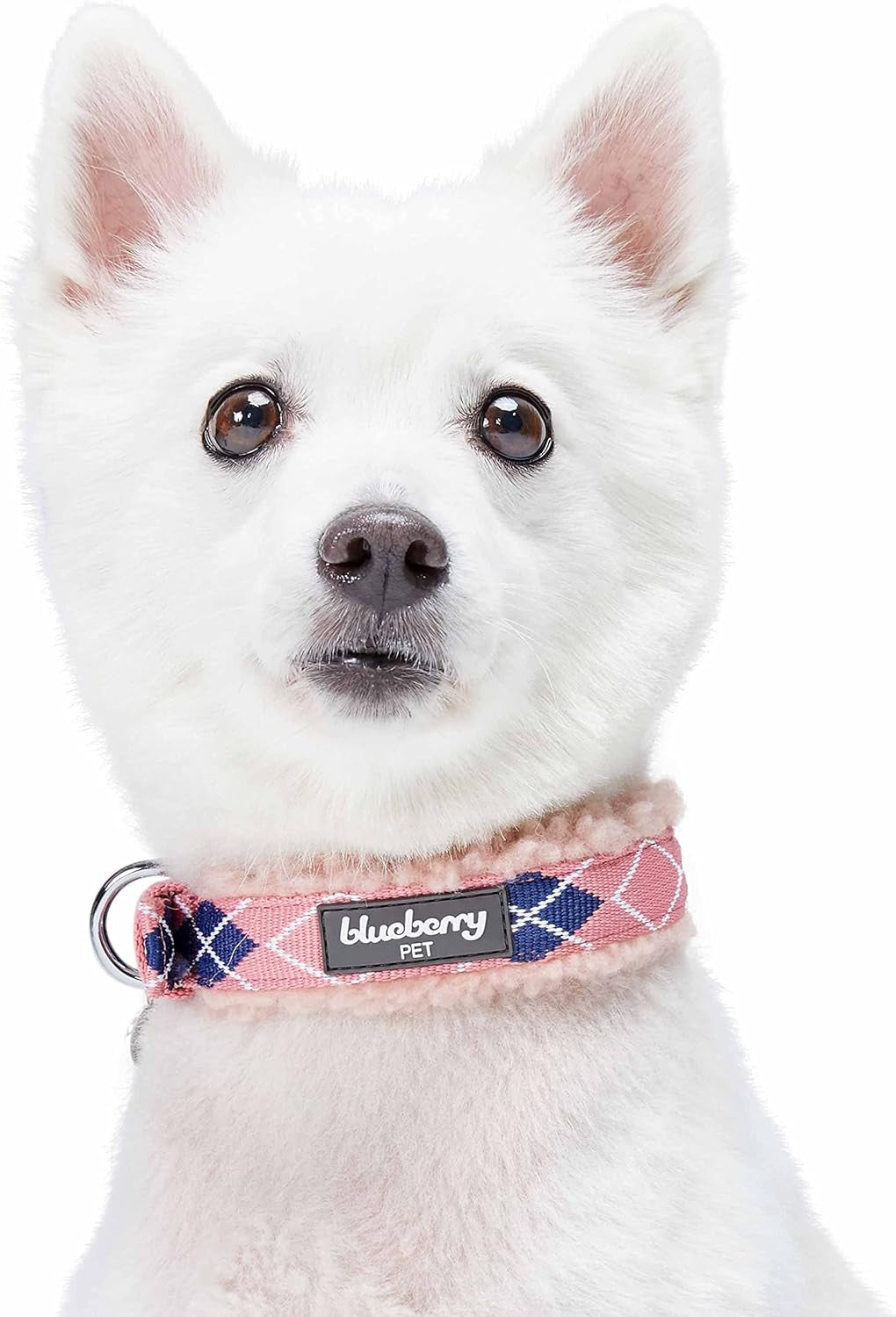 Soft & Comfy Scottish Argyle Padded Dog Collar - Pink, 13-16.5" Neck for Medium Pets, Adjustable Dog Collars for Small Dogs, Puppy Collar, Small Dog Collar, Sherpa Fleece, Metal Buckle