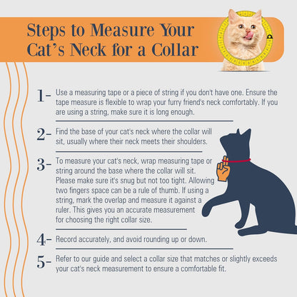 Leather Cat Collar, Reflective Cat Collar, Leather Accessories with Bell, Bird Warning, Suitable for Indoor and Outdoor, Non Breakaway, Durable, Stylish Design, Royal Blue