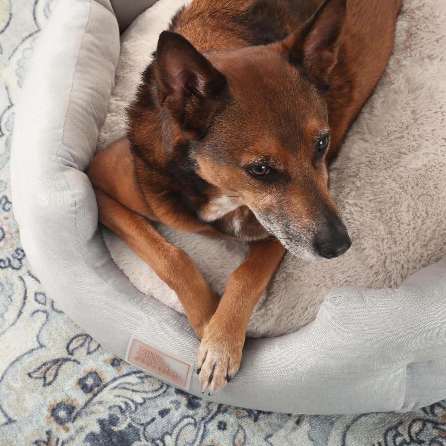 EVERYDAY Cuddletown Faux Linen Comfy Cozy Cuddler Pet Bed, Supportive & Calming Egg Crate Foam, Water Repellent, Non-Slip Bottom, Machine Washable Cover, Grey, Medium 28"X26"X8"