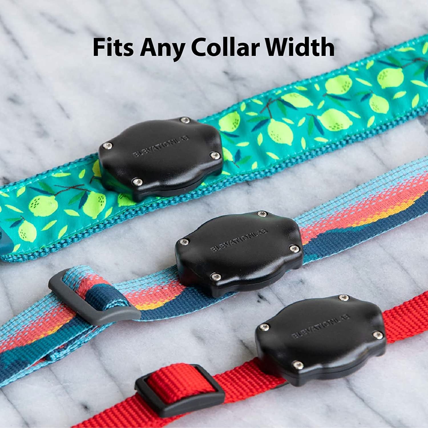 Airtag Dog Collar Holder - Tagvault™ - Secure Thru-Mount, IP69 Waterproof, Doesn'T Dangle, Fits All Width Collars