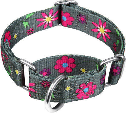 Martingale Dog Collar No Pull Pet Collar Heavy Duty Dog Martingale Collars Silky with Unique Geometric Pattern for Medium and Large Dogs (Large, Turquoise)