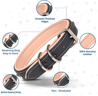 Genuine Leather Dog Collar, Heavy Duty Adjustable Durable Padded Neck Belt with Strong Metal Buckle & D-Ring for Walking, Training & Running - Dark Blue and Pink (Small: Fits 15–19" Necks)