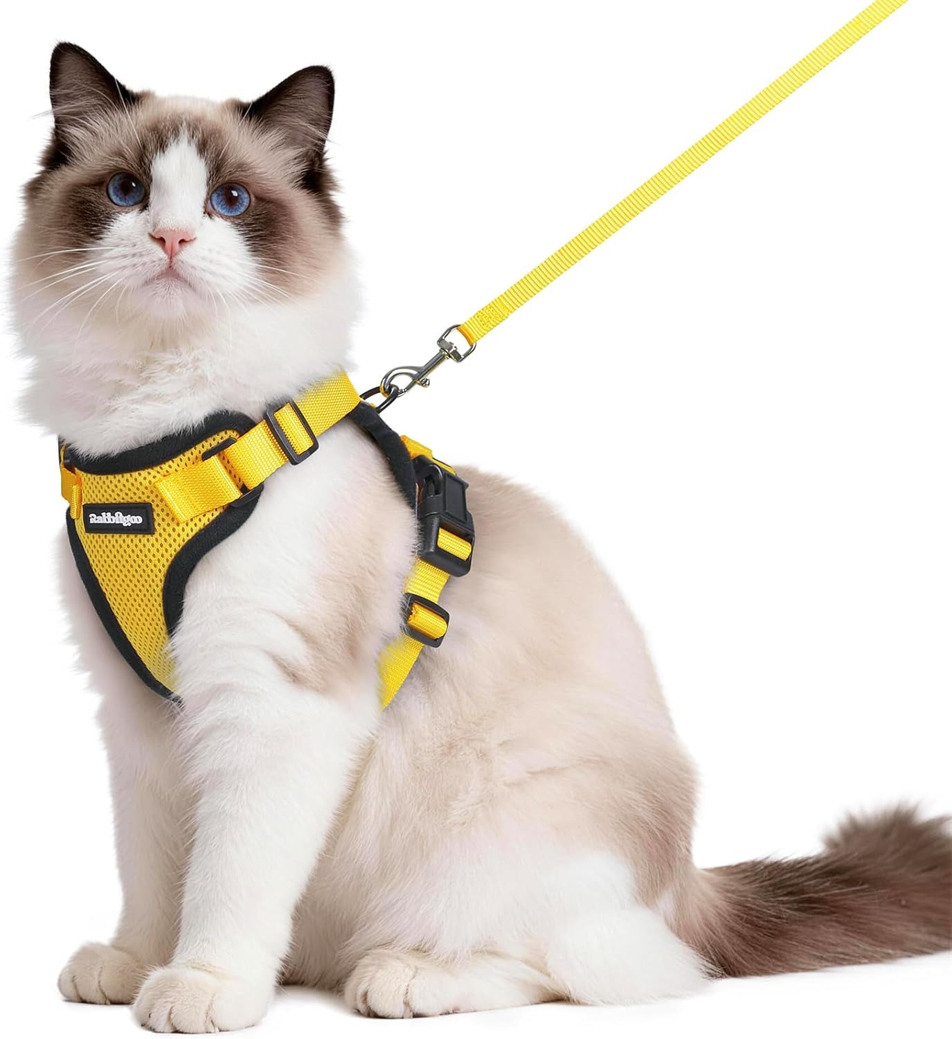 Cat Harness and Leash for Walking, Escape Proof Soft Adjustable Vest Harnesses for Cats, Easy Control Breathable Reflective Strips Jacket, Black, XS