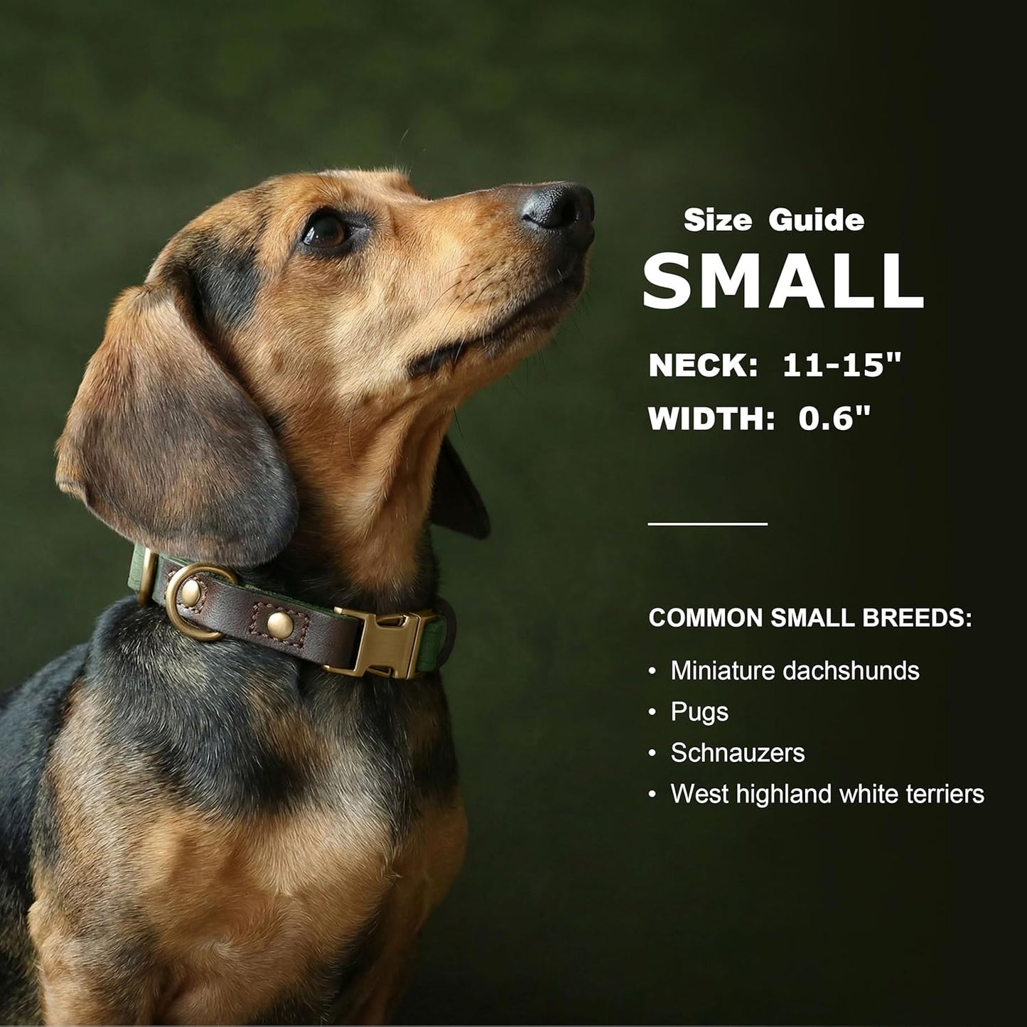 Soft PU Leather Dog Collars for Small Dogs,Classic Adjustable Dog Collars with Quick Release Metal Buckle,Easy Clean and Comfortable with Nylon Lining,Green,S Neck 11-15"